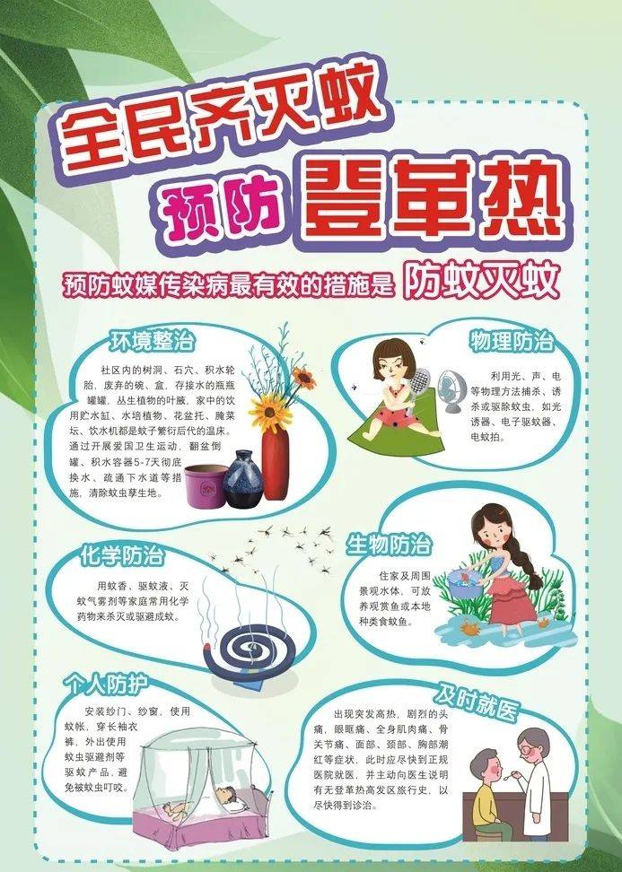 预防登革热，健康过暑假——致广大家长的一封信